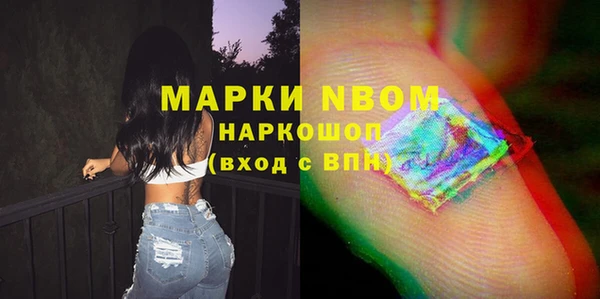 эйфоретик Гусь-Хрустальный
