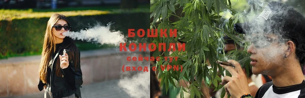 эйфоретик Гусь-Хрустальный