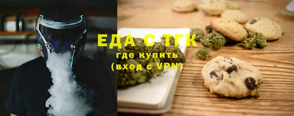 эйфоретик Гусь-Хрустальный