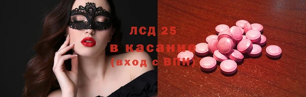 apvp Гусев