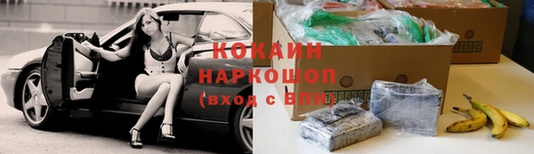 эйфоретик Гусь-Хрустальный
