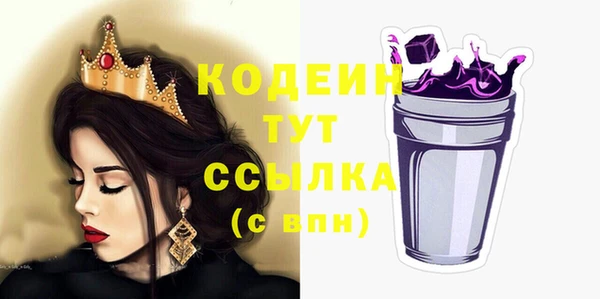 эйфоретик Гусь-Хрустальный