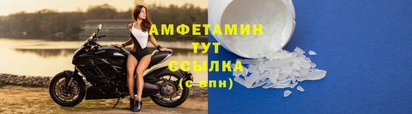 эйфоретик Гусь-Хрустальный