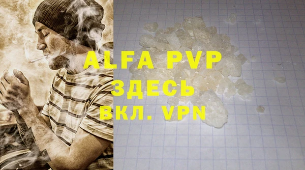 apvp Гусев