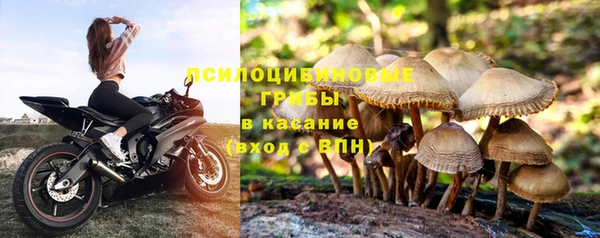 а пвп мука Гусиноозёрск
