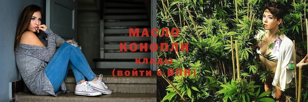 эйфоретик Гусь-Хрустальный