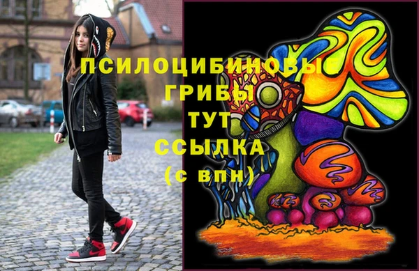 а пвп мука Гусиноозёрск