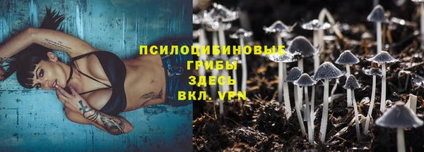 эйфоретик Гусь-Хрустальный