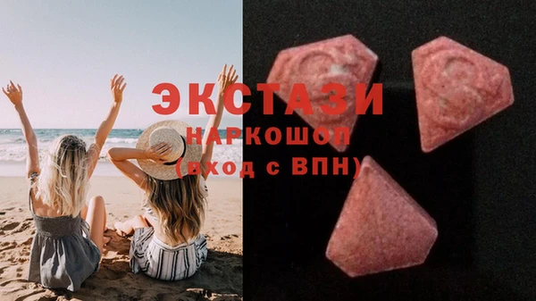 apvp Гусев