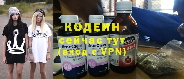 apvp Гусев