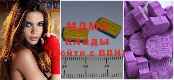 эйфоретик Гусь-Хрустальный