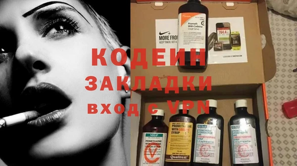 apvp Гусев