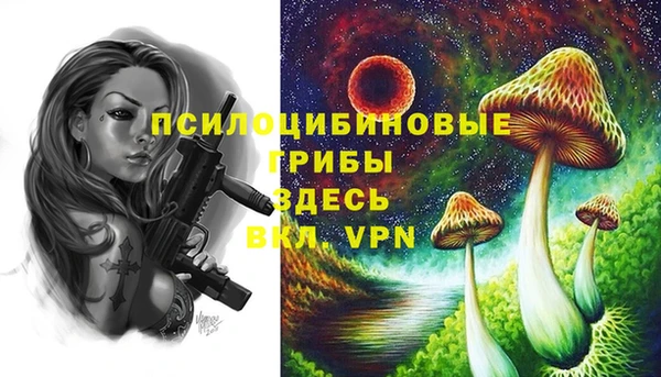 амф Покров