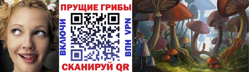 Псилоцибиновые грибы Magic Shrooms  купить  цена  Мещовск 