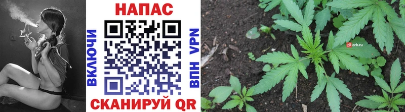 продажа наркотиков  Мещовск  Бошки Шишки AK-47 